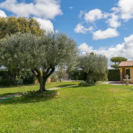 Il Girasole - Uva Venturina Terme