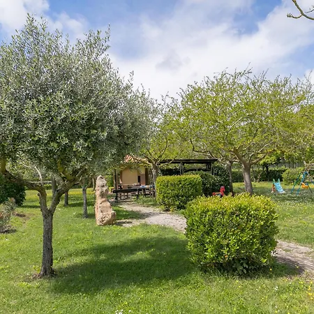 Agroturismo Il Girasole - Uva *