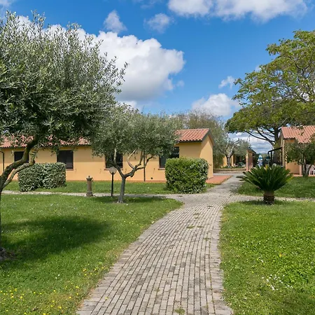 Il Girasole - Uva Venturina Terme