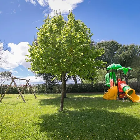 Agroturismo Il Girasole - Uva